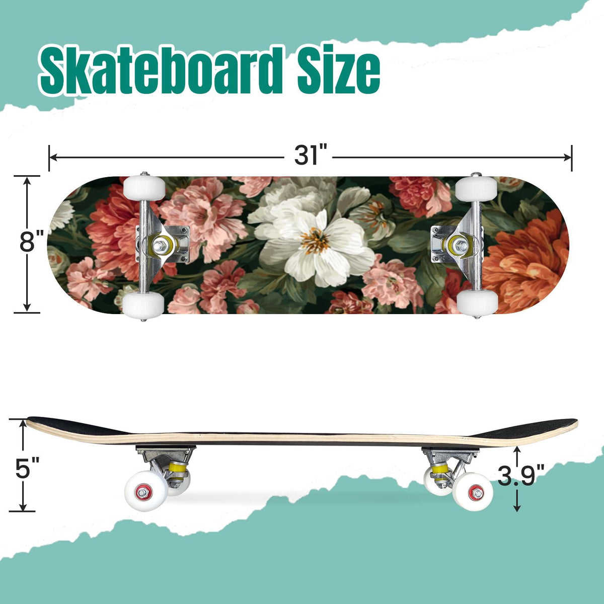 Seashells Starfish Sandy Beach Soft Lighting 31" x 8" Complete Skateboard, 7-Ply Canadian Maple Double Kick Trick Board for Kids and Beginners Adult Gifts
