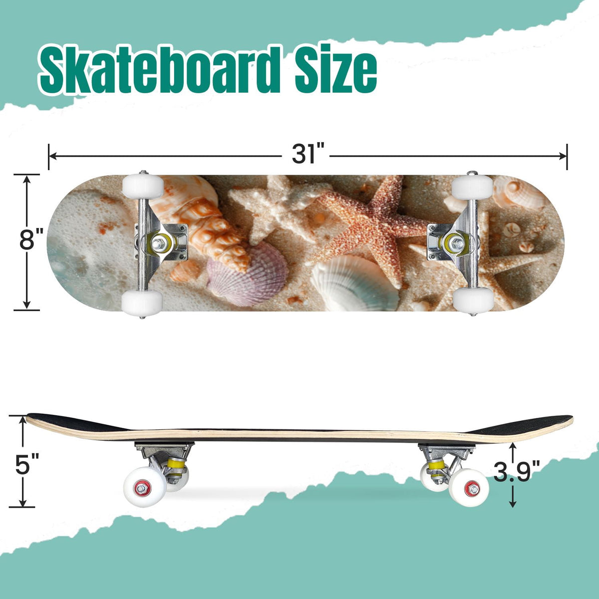 Seashells Starfish Sandy Beach Soft Lighting 31" x 8" Complete Skateboard, 7-Ply Canadian Maple Double Kick Trick Board for Kids and Beginners Adult Gifts