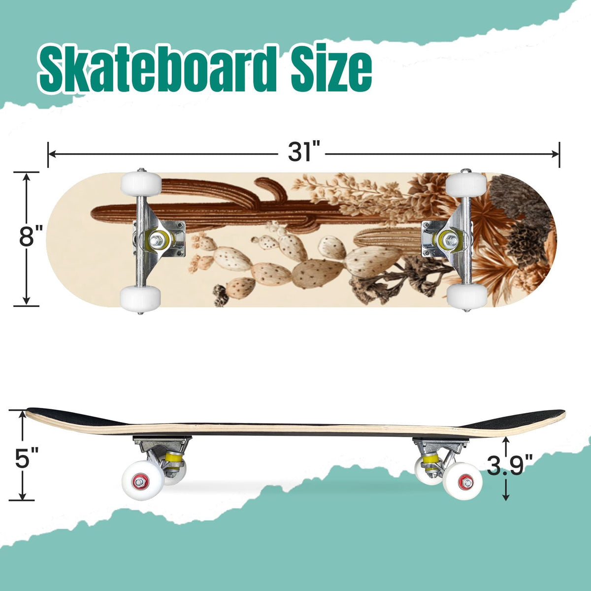 Seashells Starfish Sandy Beach Soft Lighting 31" x 8" Complete Skateboard, 7-Ply Canadian Maple Double Kick Trick Board for Kids and Beginners Adult Gifts