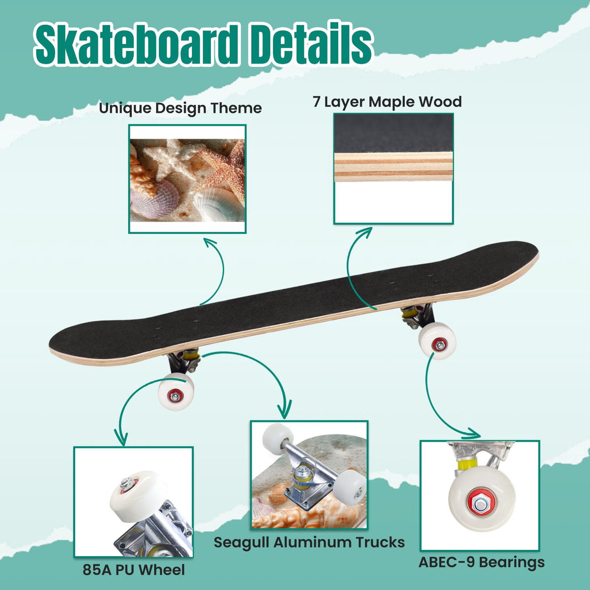 Seashells Starfish Sandy Beach Soft Lighting 31" x 8" Complete Skateboard, 7-Ply Canadian Maple Double Kick Trick Board for Kids and Beginners Adult Gifts