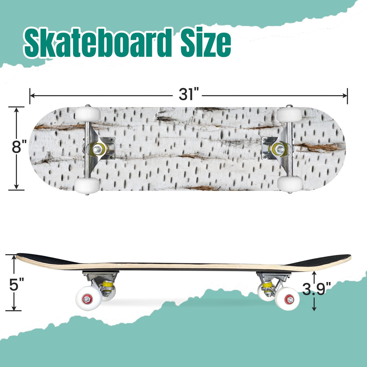 White Birch Tree Bark Natural Knots Horizontal Lines 31" x 8" Complete Skateboard, 7-Ply Canadian Maple Double Kick Trick Board for Kids and Beginners Adult Gifts